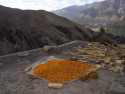 Leh